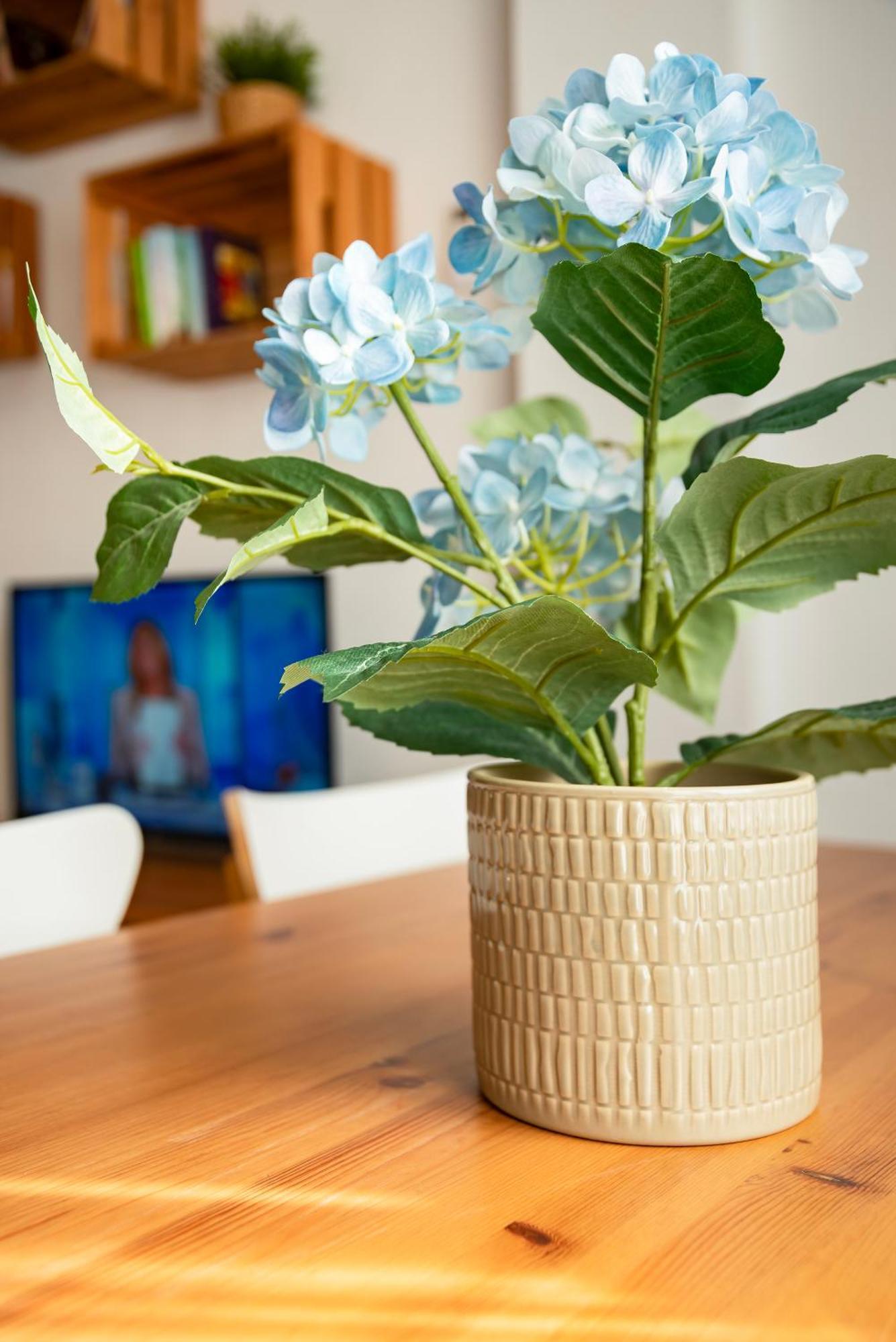 Home@Porvenir Vft/Se/03555 Seville Ngoại thất bức ảnh